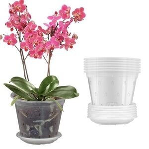 Orchid pots for repotting